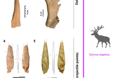 New Research by HEAS Members on Cervidae antler aDNA