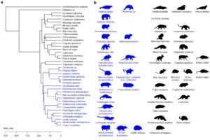 Grunstra_et_al_Fig_1